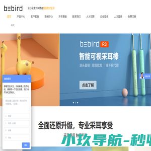 可视耳勺品牌_发光耳勺_无线耳勺生产厂家_bebird官网