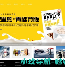 网站截图