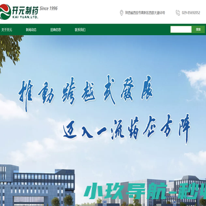 陕西开元制药有限公司网站