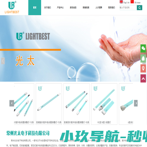 紫外线杀菌消毒灯,电子镇流器,石英套管-常州光太电子科技有限公司