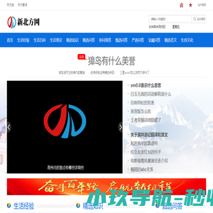 新北方网