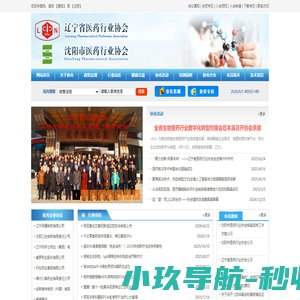 辽宁省医药行业协会-医药行业交流协作的平台
