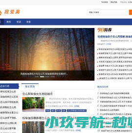 我爱美