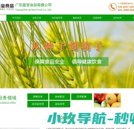 广东嘉宝食品有限公司