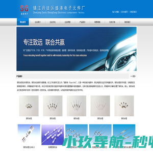 保险丝管-镇江丹徒区盛港电子元件厂