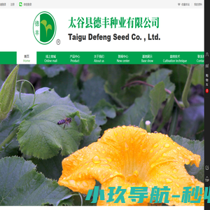 太谷县德丰种业有限公司