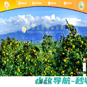 果园首页_广西桂林鹏宇兄弟桔柑产业开发有限公司