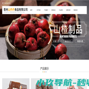 青州果丹皮_山楂卷及山楂汉堡供应公司 - 青州山丹丹食品有限公司