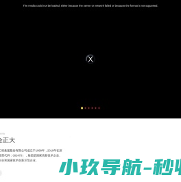 金正大集团
