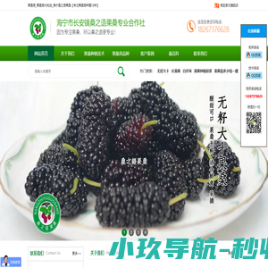 果桑|果桑苗|果桑苗品种|果桑苗批发|果桑苗价格|浙江果桑苗|果桑苗基地 - 海宁市长安镇桑之语果桑专业合作社