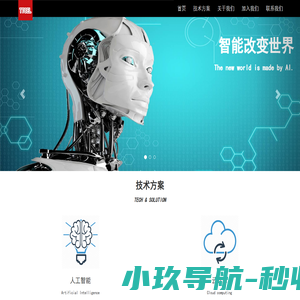 深圳中科图灵科技有限公司
