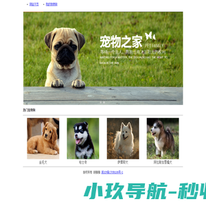 安徽百视装修公司-安徽百视装饰公司-安徽家装公司-百视装饰官方网站
