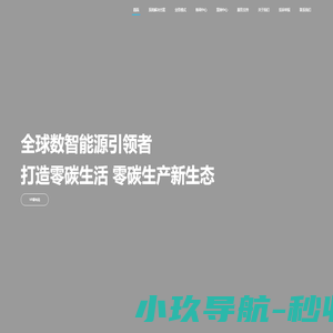 全球数智能源引领者