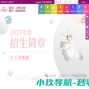 深圳市十二月芭蕾舞培训学校、深圳市十二月舞蹈艺术团，深圳杨晴芭蕾舞蹈艺术团,深圳少儿舞蹈培训,深圳儿童舞蹈培训,芭蕾舞培训班