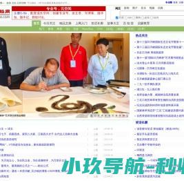 网站截图