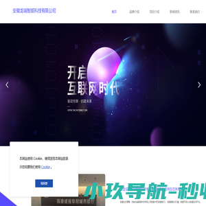 安徽龙瑞智能科技有限公司