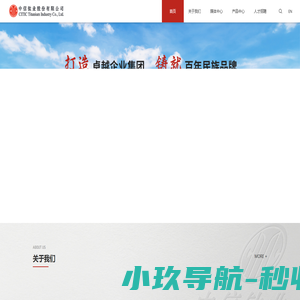 中信钛业股份有限公司