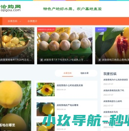 网站已到期