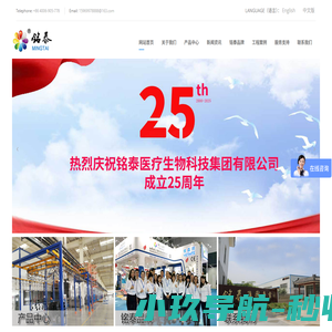 吊塔,吊桥,铭泰集团吊塔,吊桥生产制造