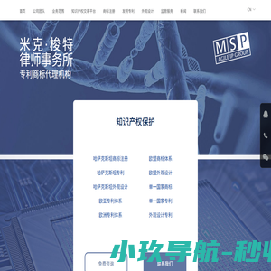 俄罗斯专利代理-俄罗斯专利商标代理机构/欧洲、一带一路国家的专利、商标注册及知识产权服务-MSP