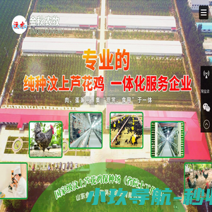 汶上芦花鸡,芦花鸡苗,芦花鸡蛋价格,芦花鸡鸡蛋,芦花鸡种蛋,山东金秋农牧科技股份有限公司