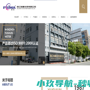 气体罗茨流量计