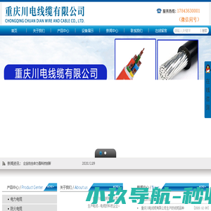重庆川电线缆有限公司