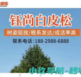淘源码