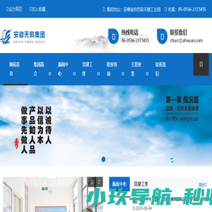 安徽天鹅集团,安徽天鹅集团