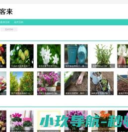 异世界回响