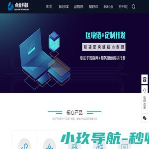 点金网络科技