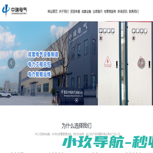 重庆中瑞电气有限公司