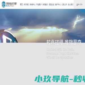 滨州渤海活塞有限公司