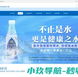 极简简历