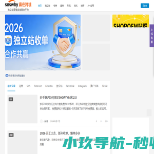 工作经历记录，SHOPYY独立站搭建，SHOPIFY仿牌建站，OEM站群搭建