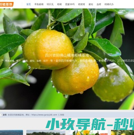 柑橘基地