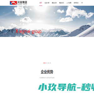 广东兴美集团有限公司