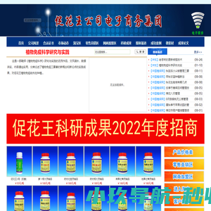 开元棋官方正版下载