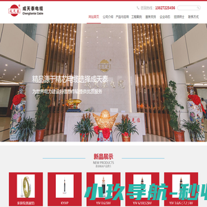 获嘉县维安网络有限公司