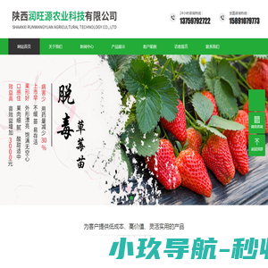 小玖网