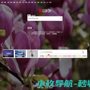 cc0图片网（cc0.cn）
