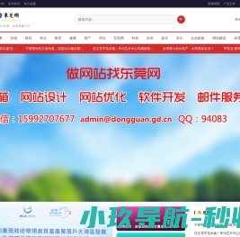 东莞网