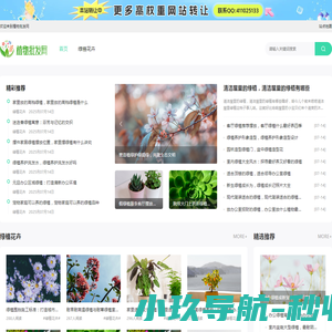 多肉植物批发网
