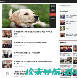 际高集团