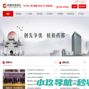 亳州药都农村商业银行股份有限公司