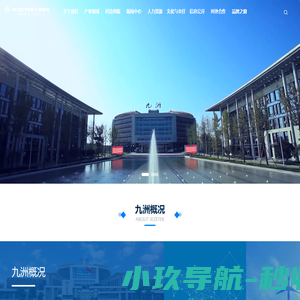 四川九洲投资控股集团有限公司