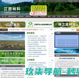 网站截图