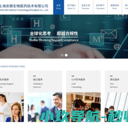 上海安霖生物医药技术有限公司