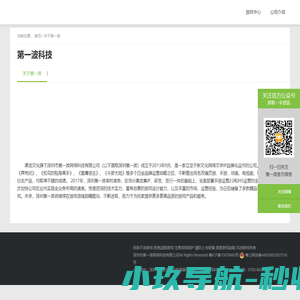 深圳第一波网络科技有限公司