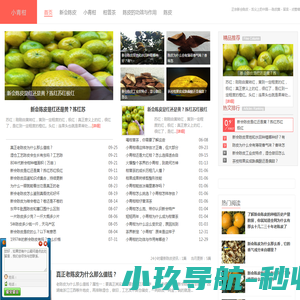 迈科龙集团